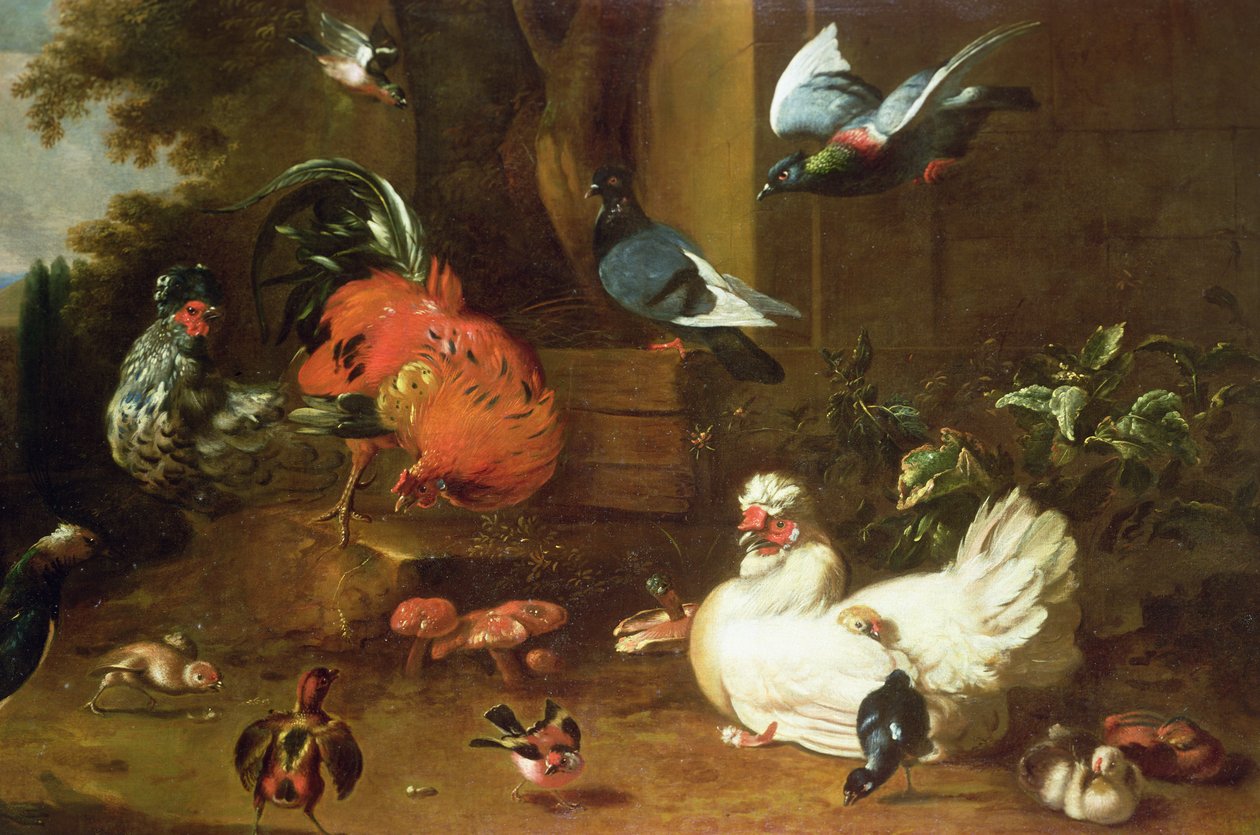 Fjerkræ i Parkland af Melchior de Hondecoeter