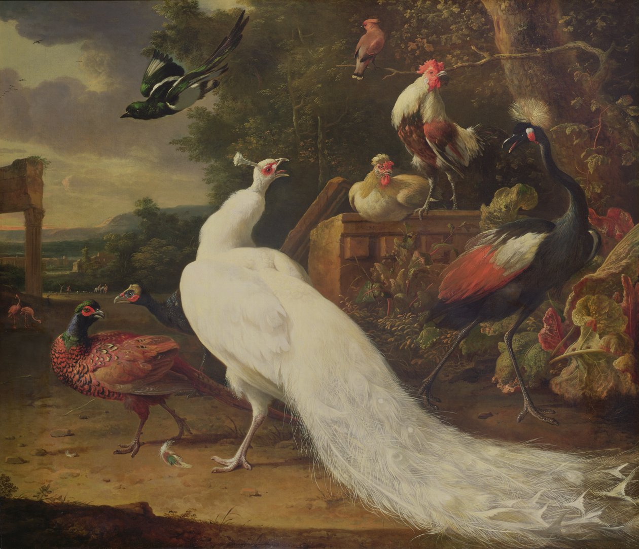 Den hvide påfugl af Melchior de Hondecoeter