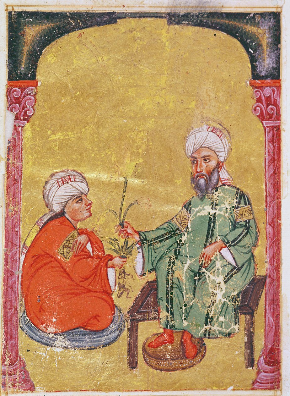 Ahmet III, 2127 Illustration fra 