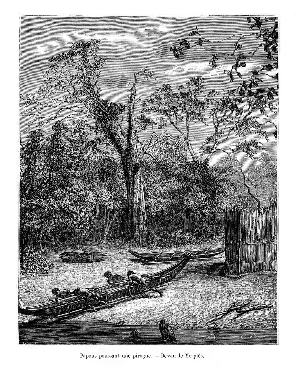 Fiskegrav, Papua, 1800-tallet af Mesples