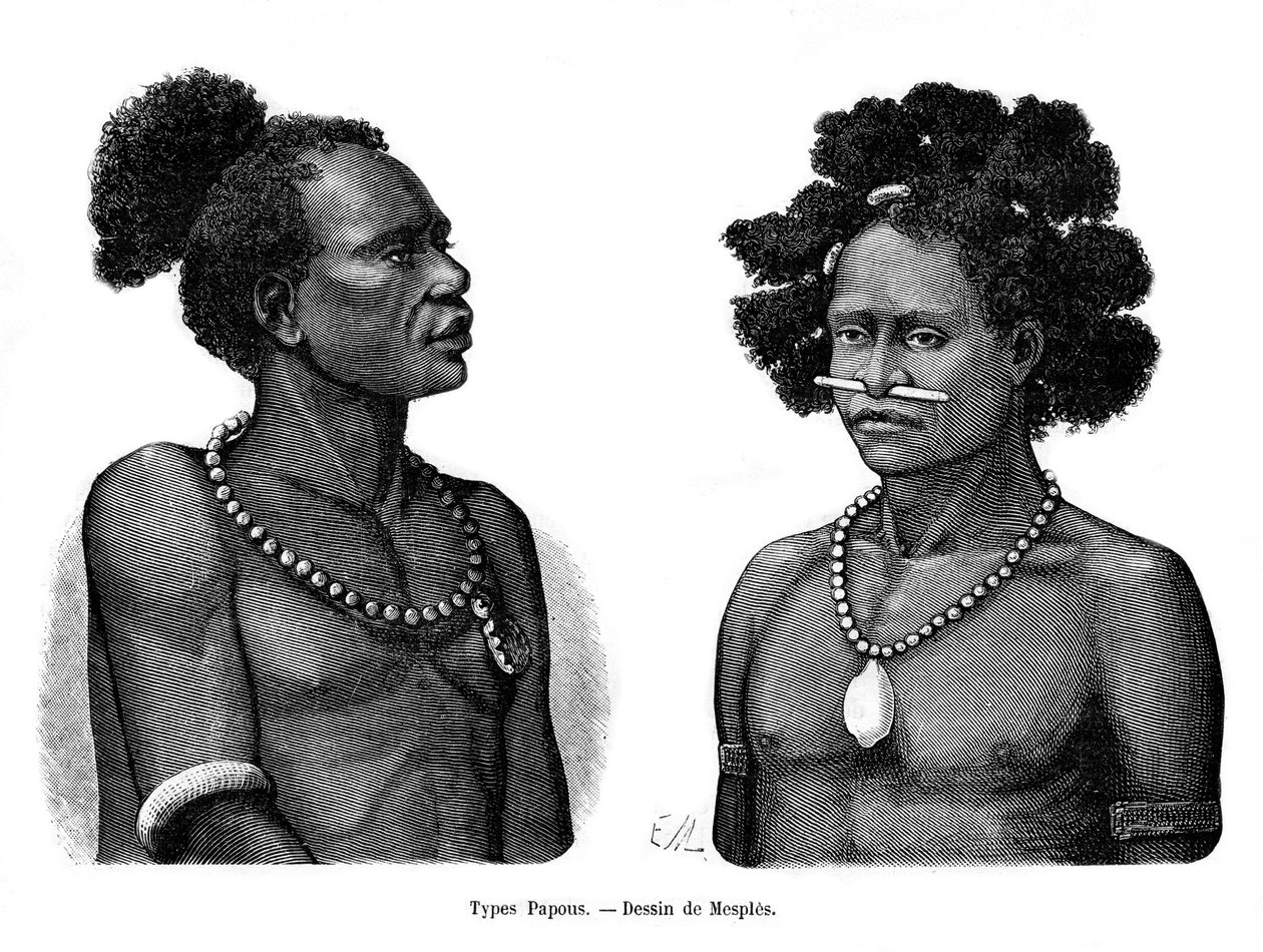 Papuanske typer, 1800-tallet af Mesples