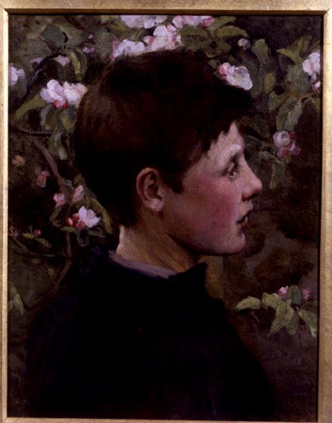 Head of a Boy (olie på lærred) af Mia Arnesby (attributed to) Brown