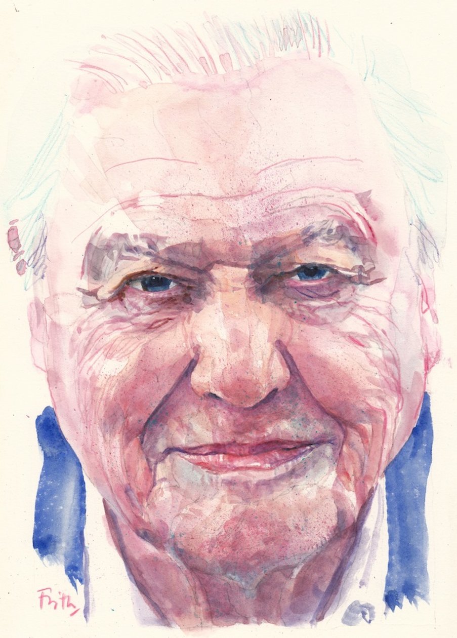 Sir David Attenborough (akvarel) af Michael Frith