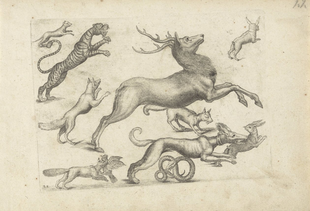 Studieark med tegningseksempler: forskellige dyr af Michael Snijders (attributed to)
