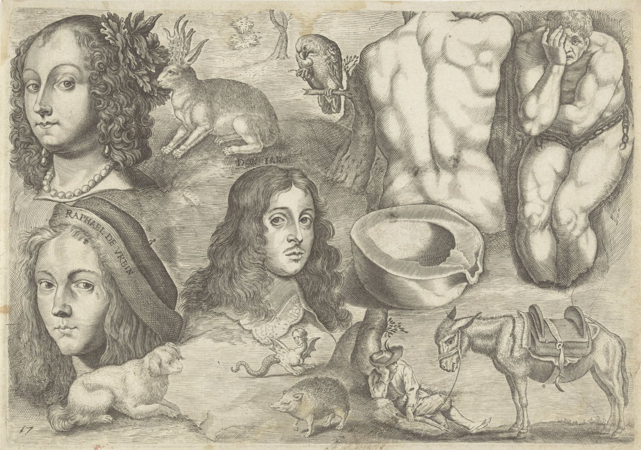 Studieark med tegningseksempler: hoveder, dyr, figurer Tegningseksempler (serietitel) af Michael Snijders