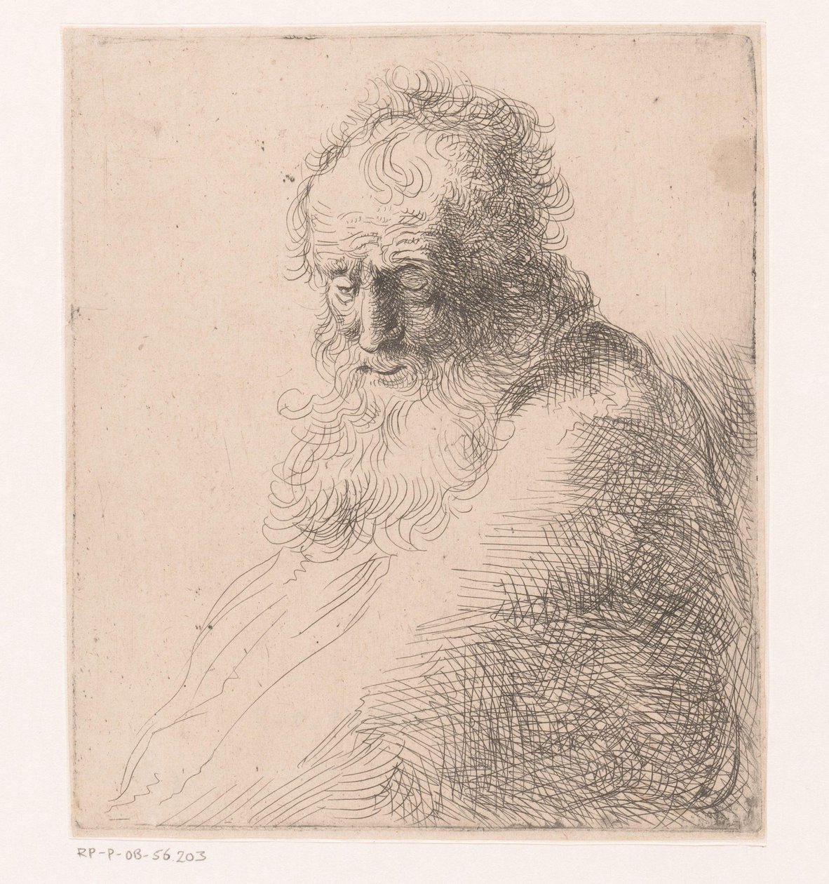 Buste af en gammel mand med skæg af Michael Willmann (attributed to)
