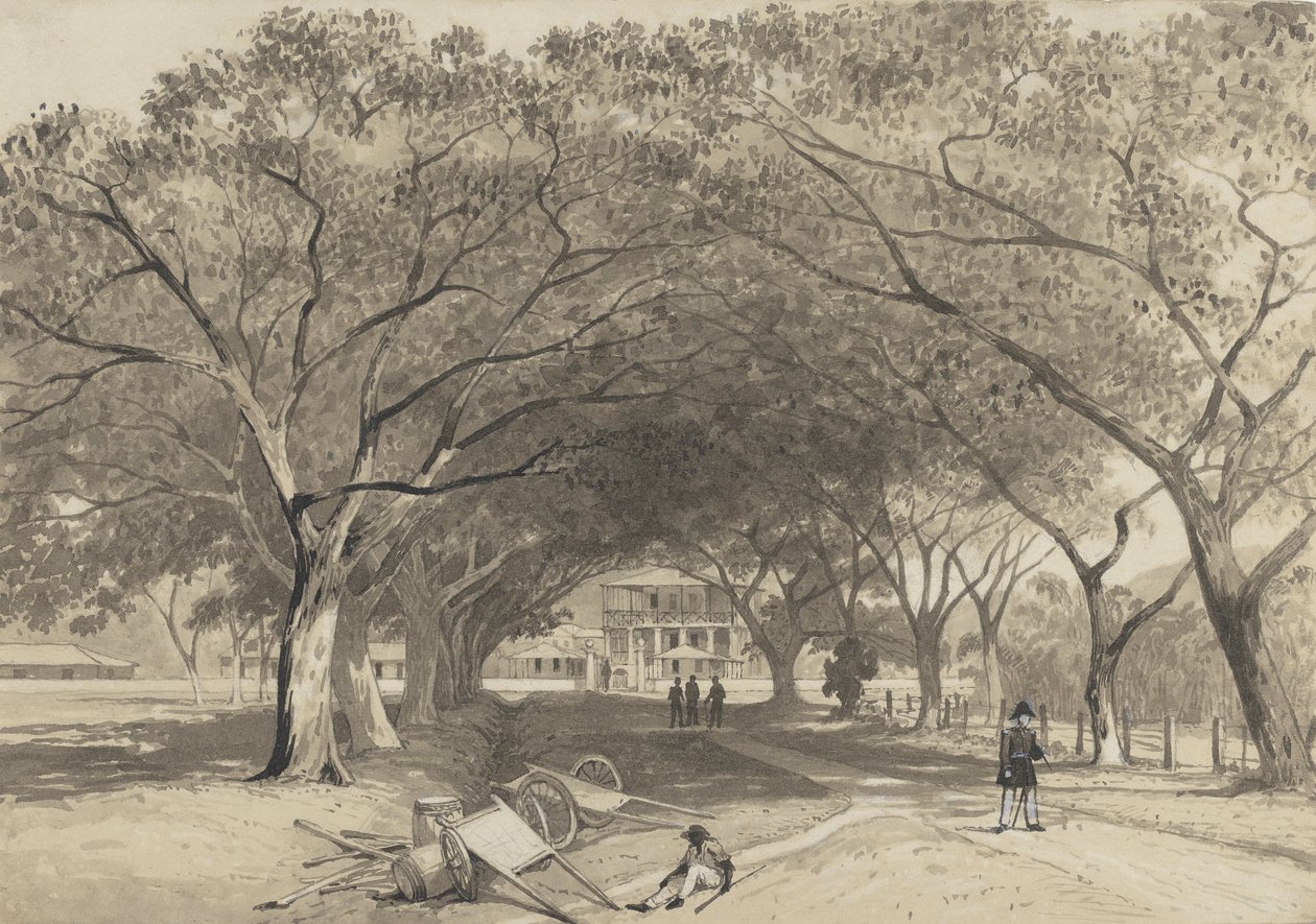 Avenue og indgang til St. James Barracks af Michel Jean Cazabon