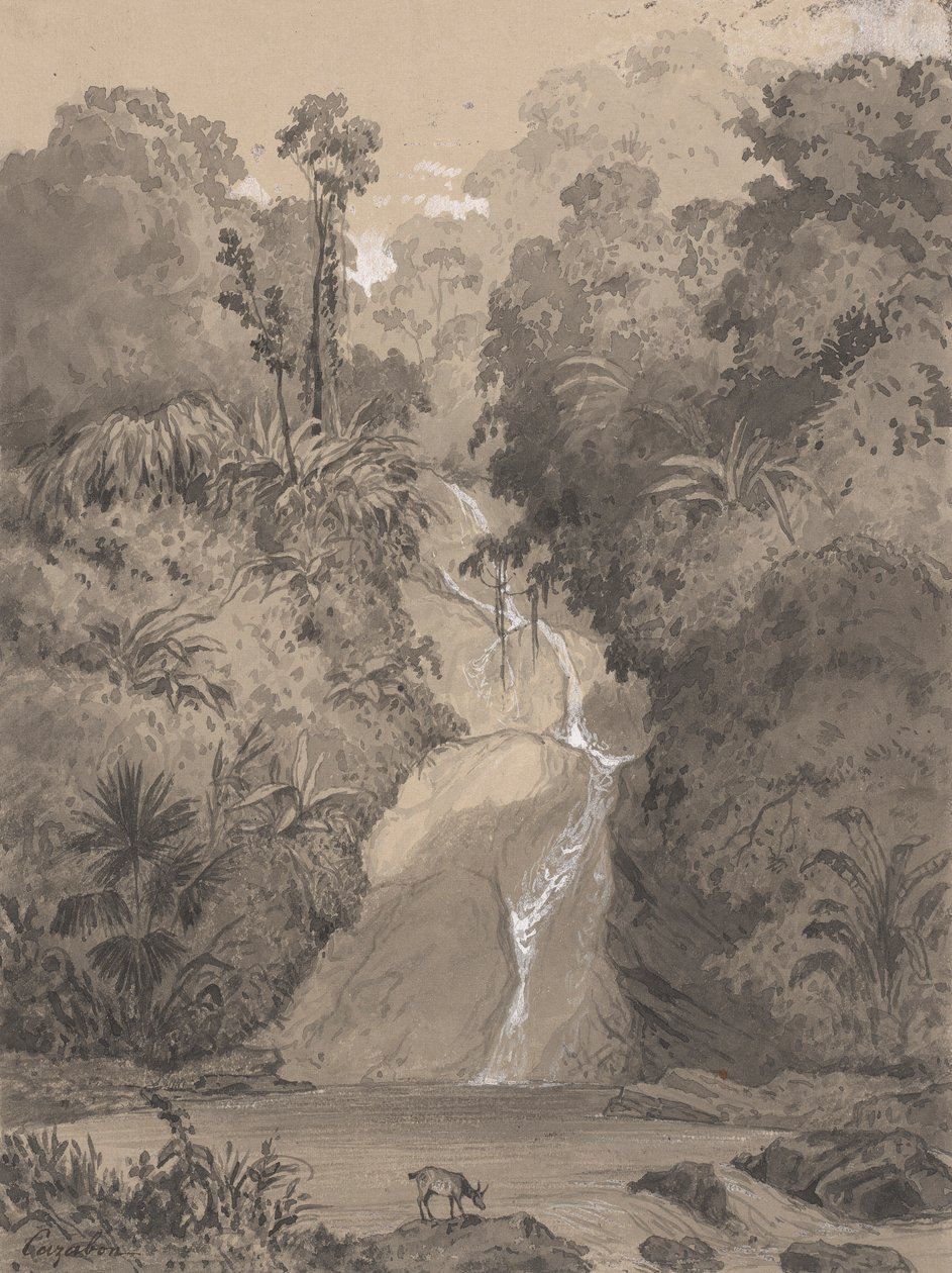 Cascade ved St. Anns af Michel Jean Cazabon