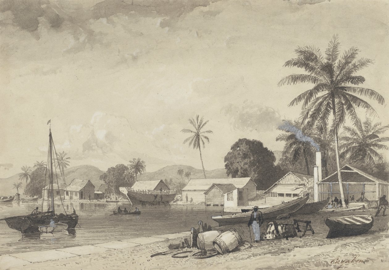 Corbeaux Town, Port of Spain af Michel Jean Cazabon