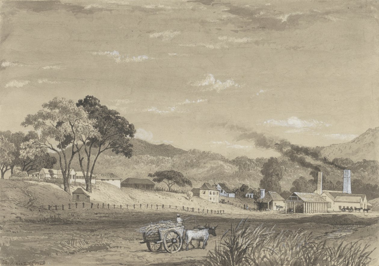 Garden Estate, Arouca af Michel Jean Cazabon