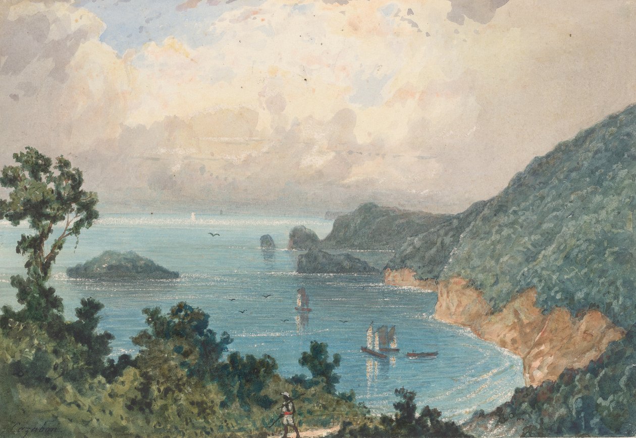 Nordkysten af Trinidad, fra North Post af Michel Jean Cazabon