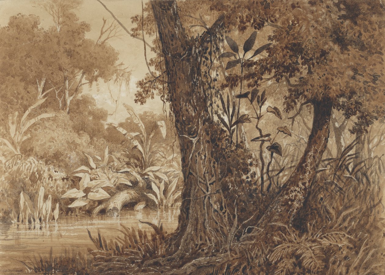 Ved Cimaronero-floden af Michel Jean Cazabon