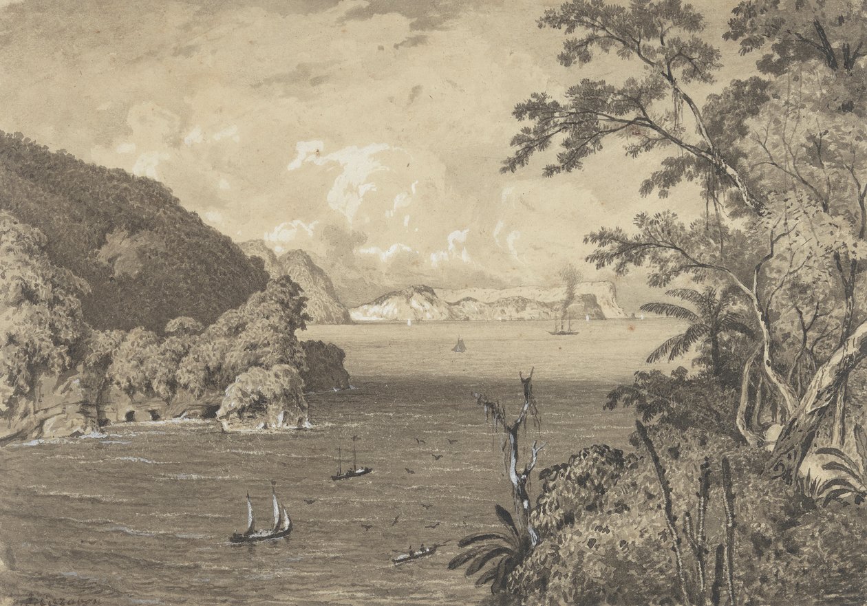 Bocas fra det gamle fort, Macqueripe af Michel Jean Cazabon