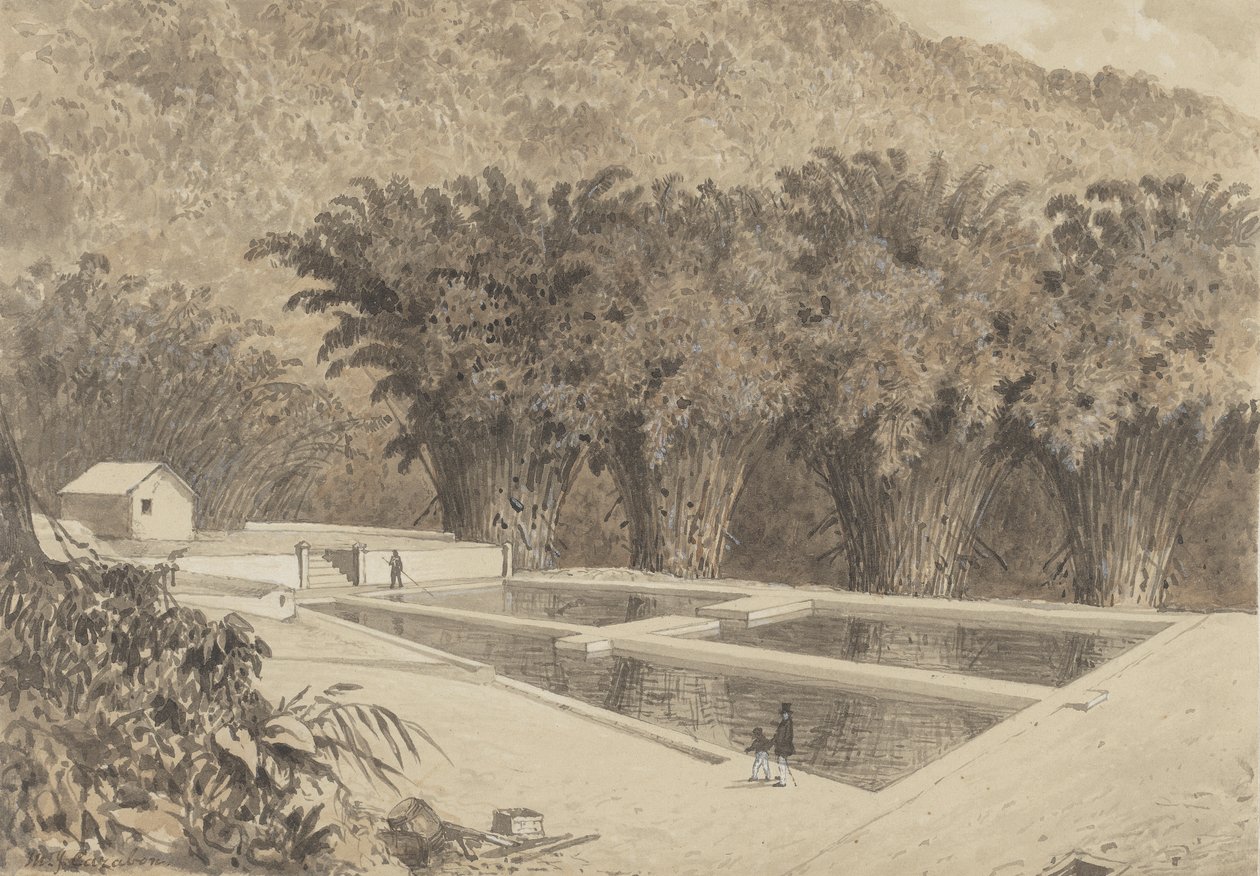 Reservoaret ved Maraval af Michel Jean Cazabon