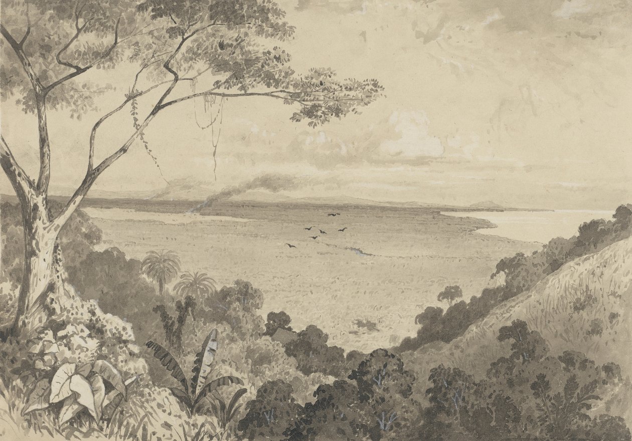 Udsigt fra Laventille Hill af Michel Jean Cazabon