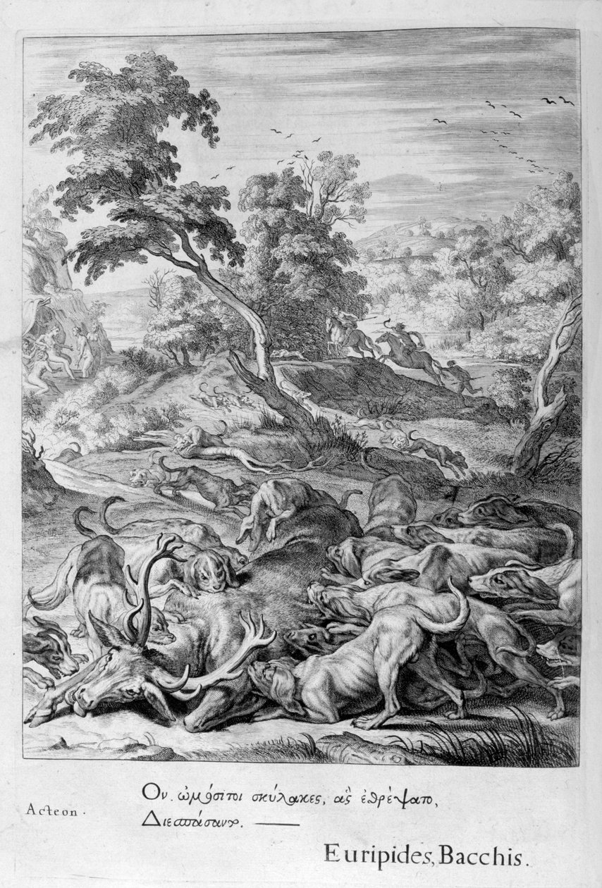 Actaeon blev til en kronhjort og fortæret af sine hunde, 1655 af Michel de Marolles