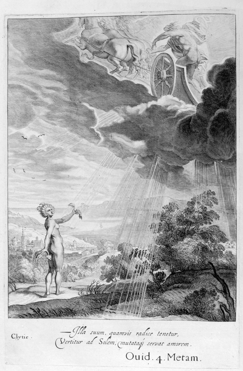 Clytie forvandlet til en solsikke, 1655 af Michel de Marolles