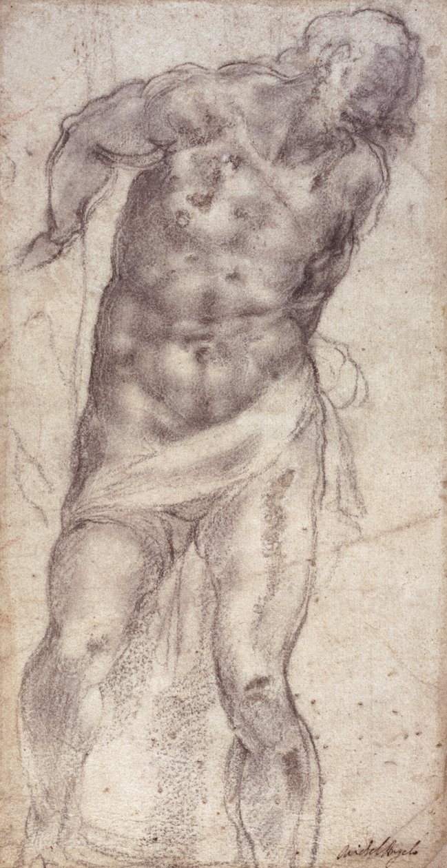 Figurstudie af Michelangelo Buonarroti