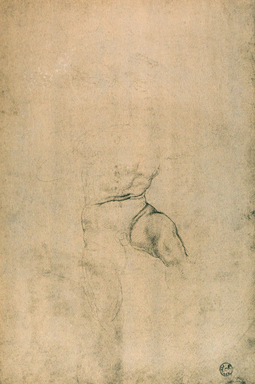 Mandlig nøgen, studie af Michelangelo. Gabinetto dei Disegni e delle Stampe, Uffiziernes Galleri, Firenze af Michelangelo Buonarroti