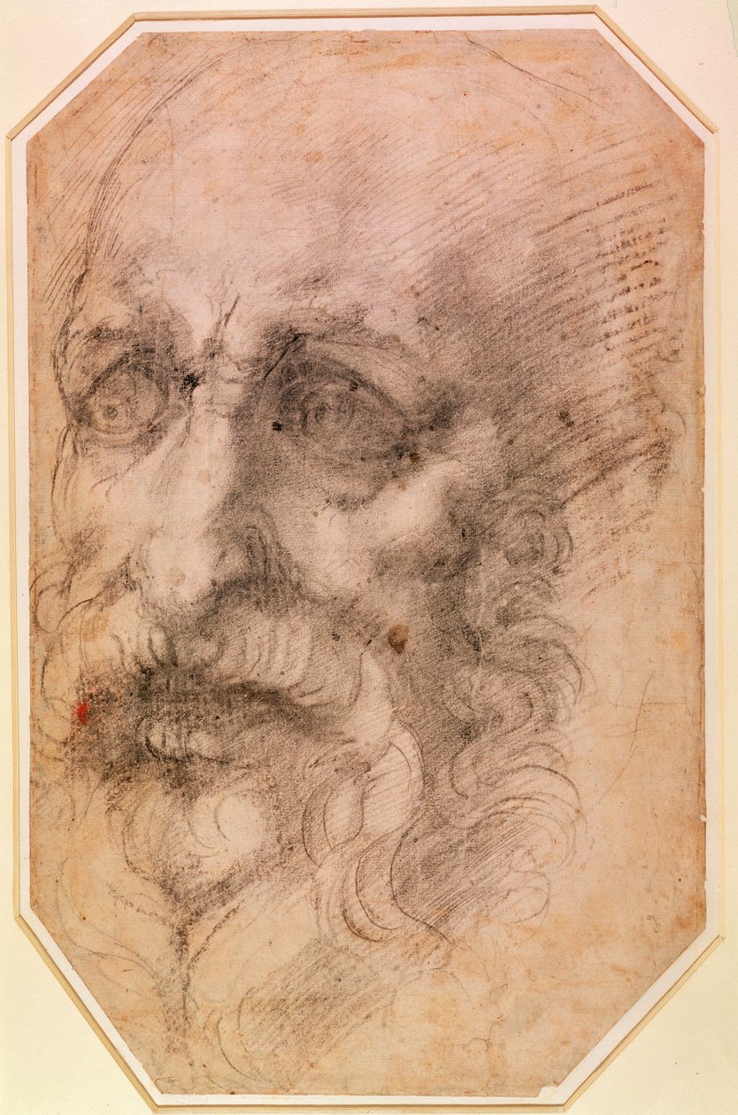 Portræt af en skægget mand (sort kridt på papir) (recto) (for verso se 191768) af Michelangelo Buonarroti