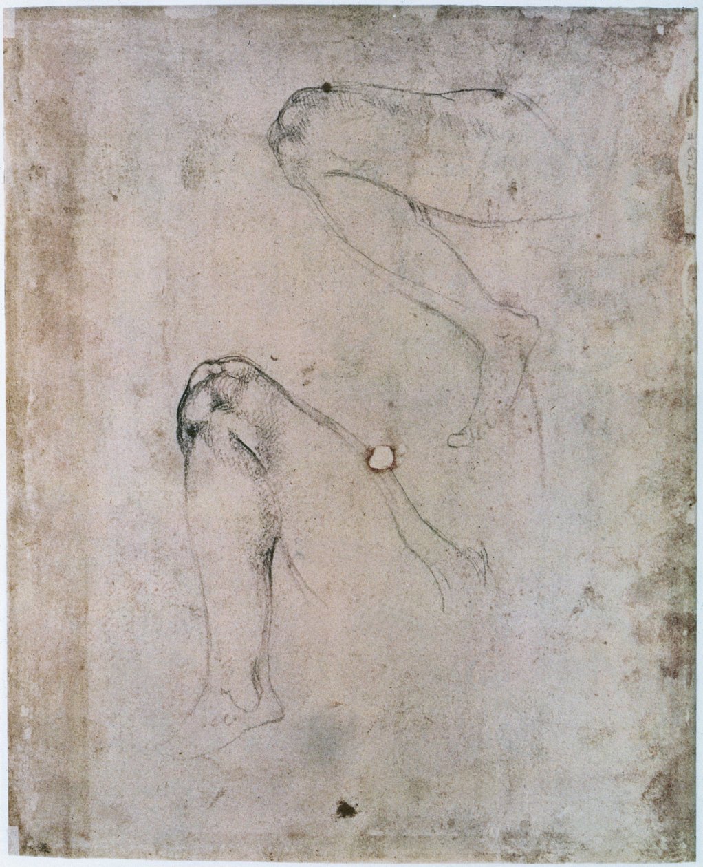 Det Sixtinske Kapel-loft (1508-12): To skitser af Evas højre ben fra scenen med Den oprindelige synd (kul på papir) af Michelangelo Buonarroti