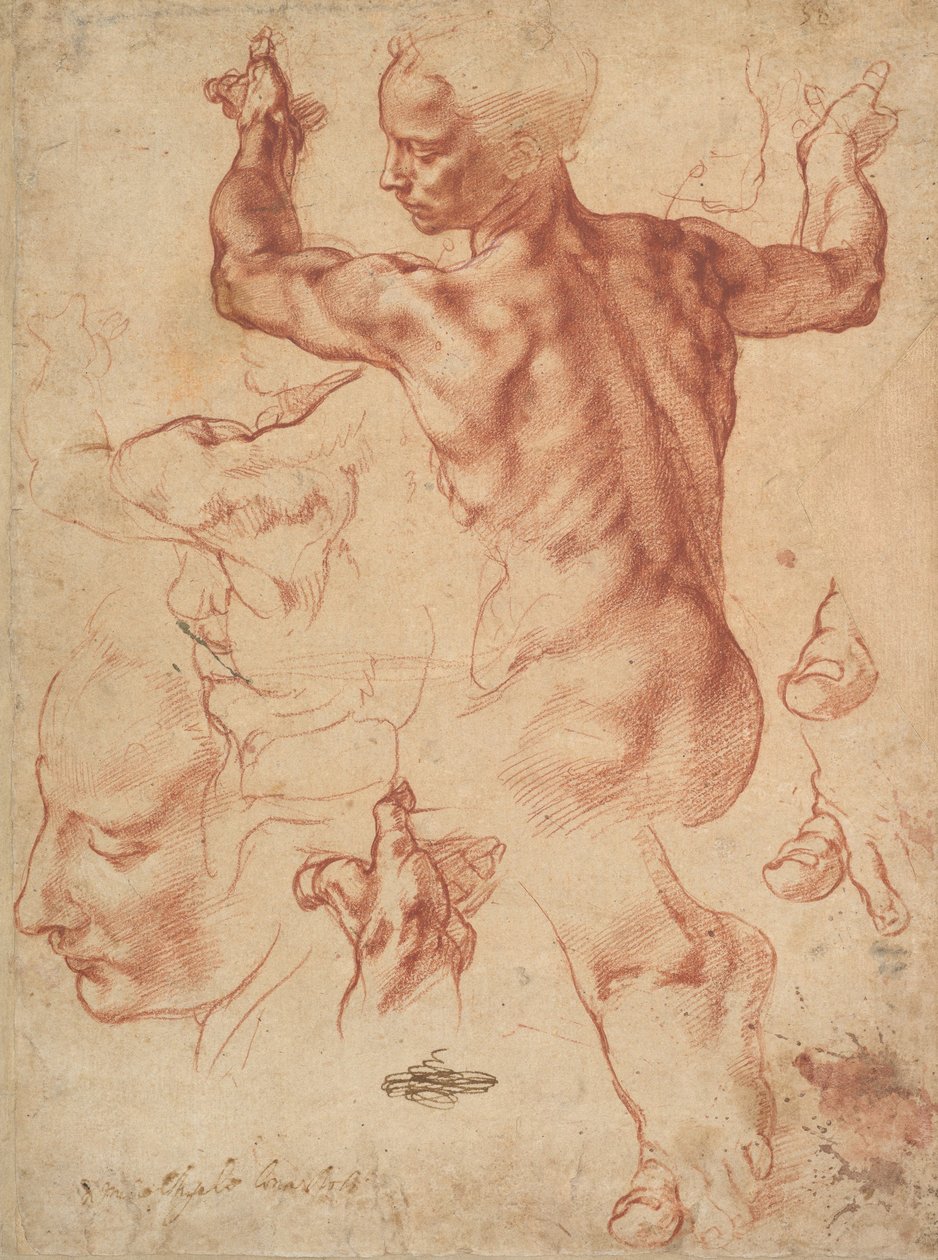 Studier for den libyske sibyl (recto), c.1510-11 (rødt kridt på papir) af Michelangelo Buonarroti