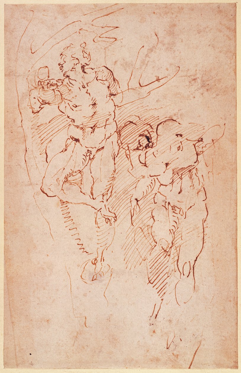 Studier af mandlige nøgenbilleder af Michelangelo Buonarroti