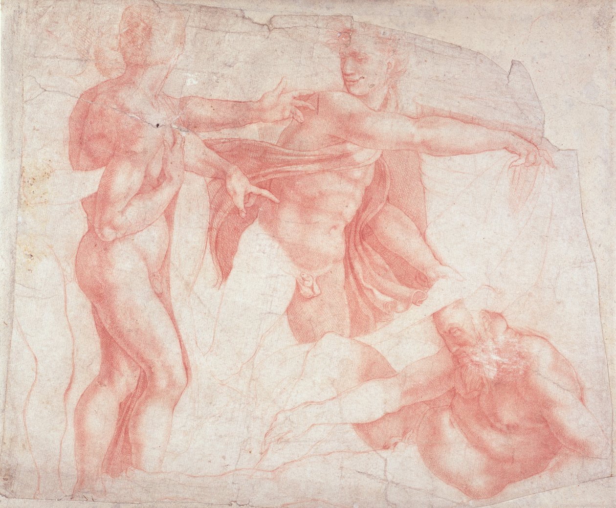 Studier af mandlige nøgenbilleder af Michelangelo Buonarroti