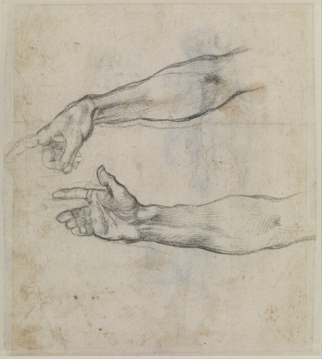 Undersøgelser af en udstrakt arm til kalkmaleriet The Drunkenness of Noah i Det Sixtinske Kapel af Michelangelo Buonarroti