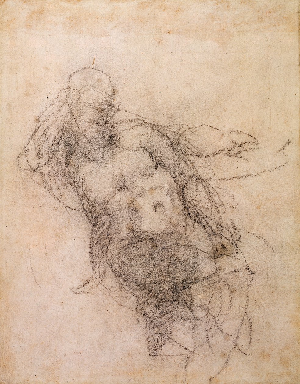 Studie for Noah i 