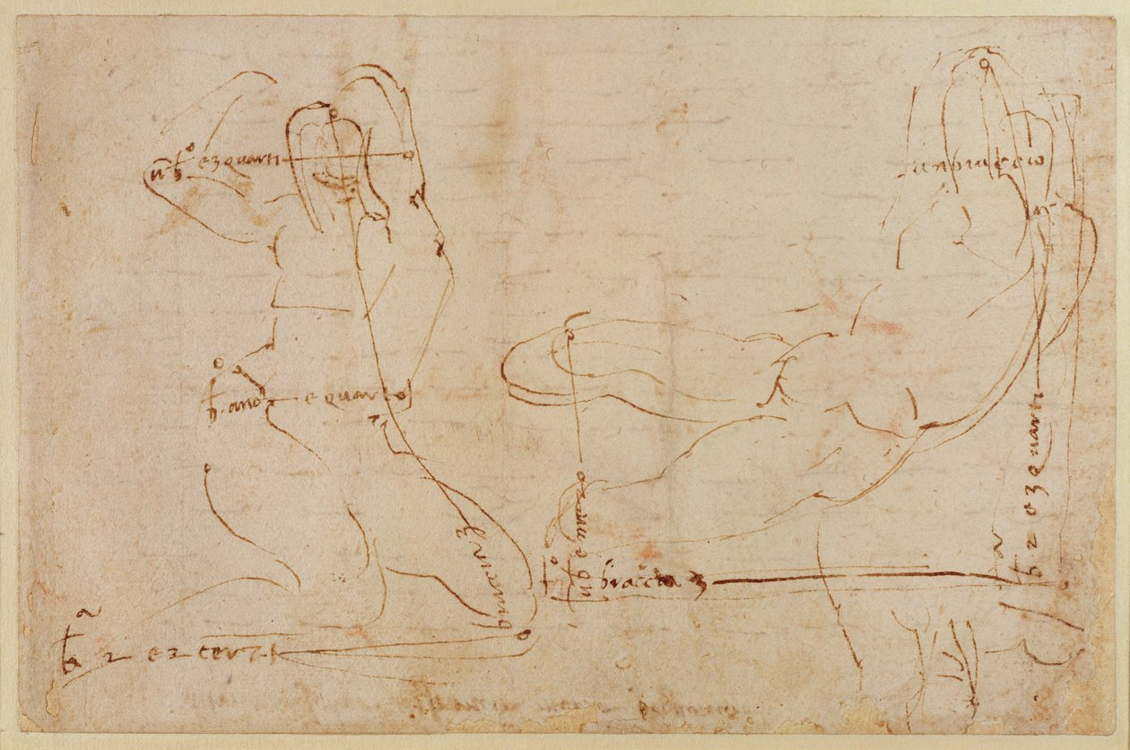 Studer for River God af Michelangelo Buonarroti