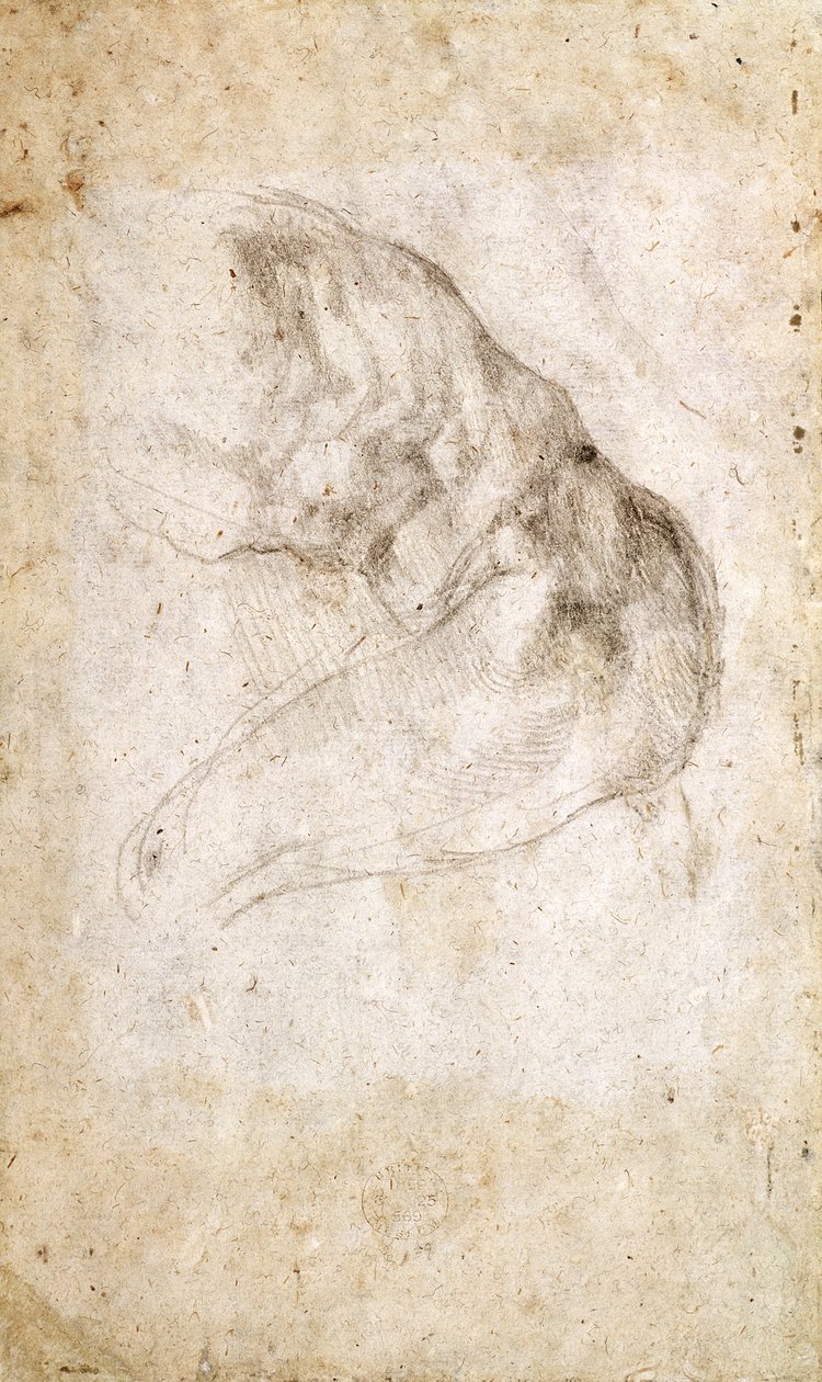 Study for The Creation of Adam (sort kridt på papir) (verso) (for recto se 191766) af Michelangelo Buonarroti
