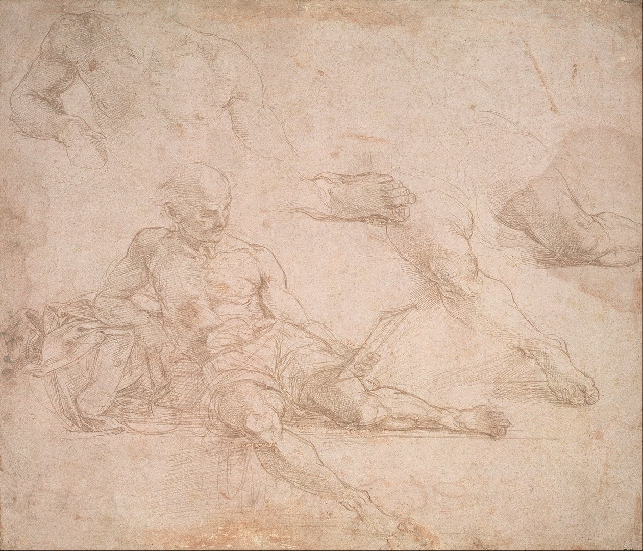 Undersøg for figuren Diogenes i Athens Skole af Michelangelo Buonarroti