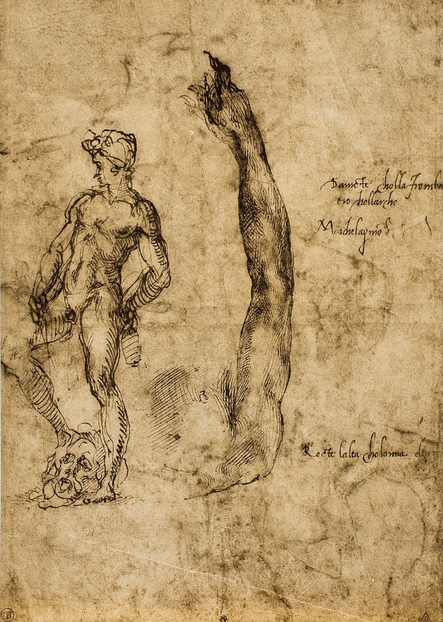 Studie til statuen af David; tegning af Michelangelo. Louvre, Paris af Michelangelo Buonarroti