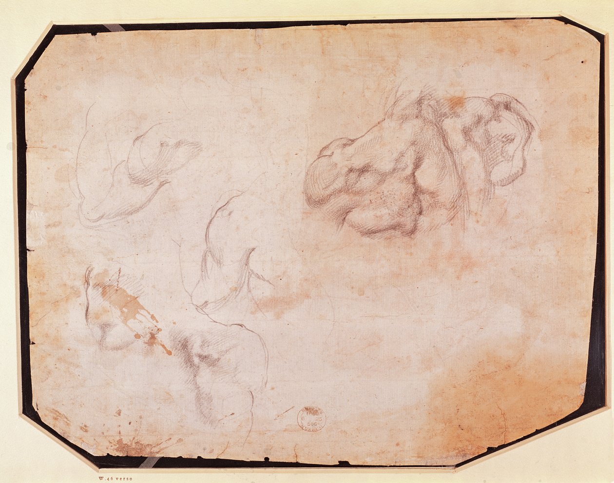Studie af muskler (verso) (for recto se 191769) af Michelangelo Buonarroti