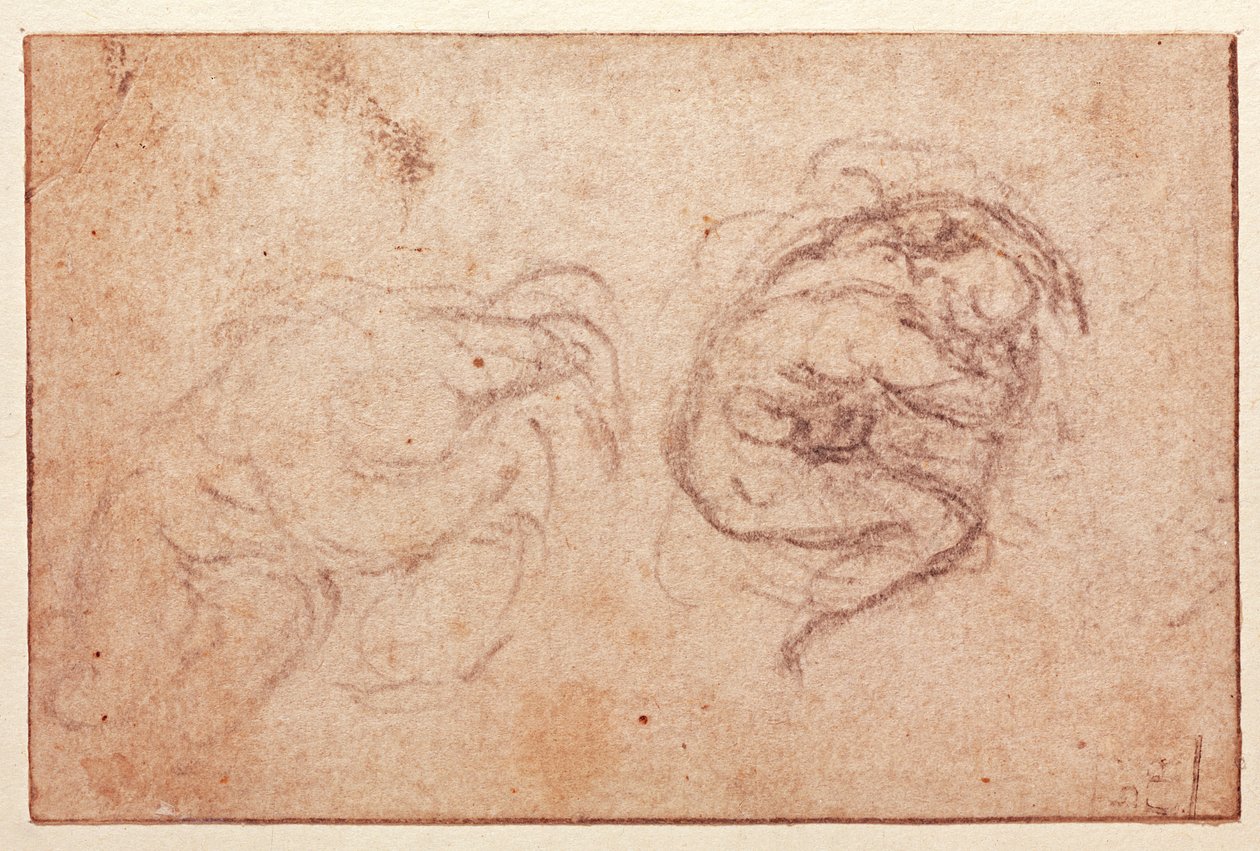 Studie af en krøbende figur (sort kridt på papir) (recto) af Michelangelo Buonarroti