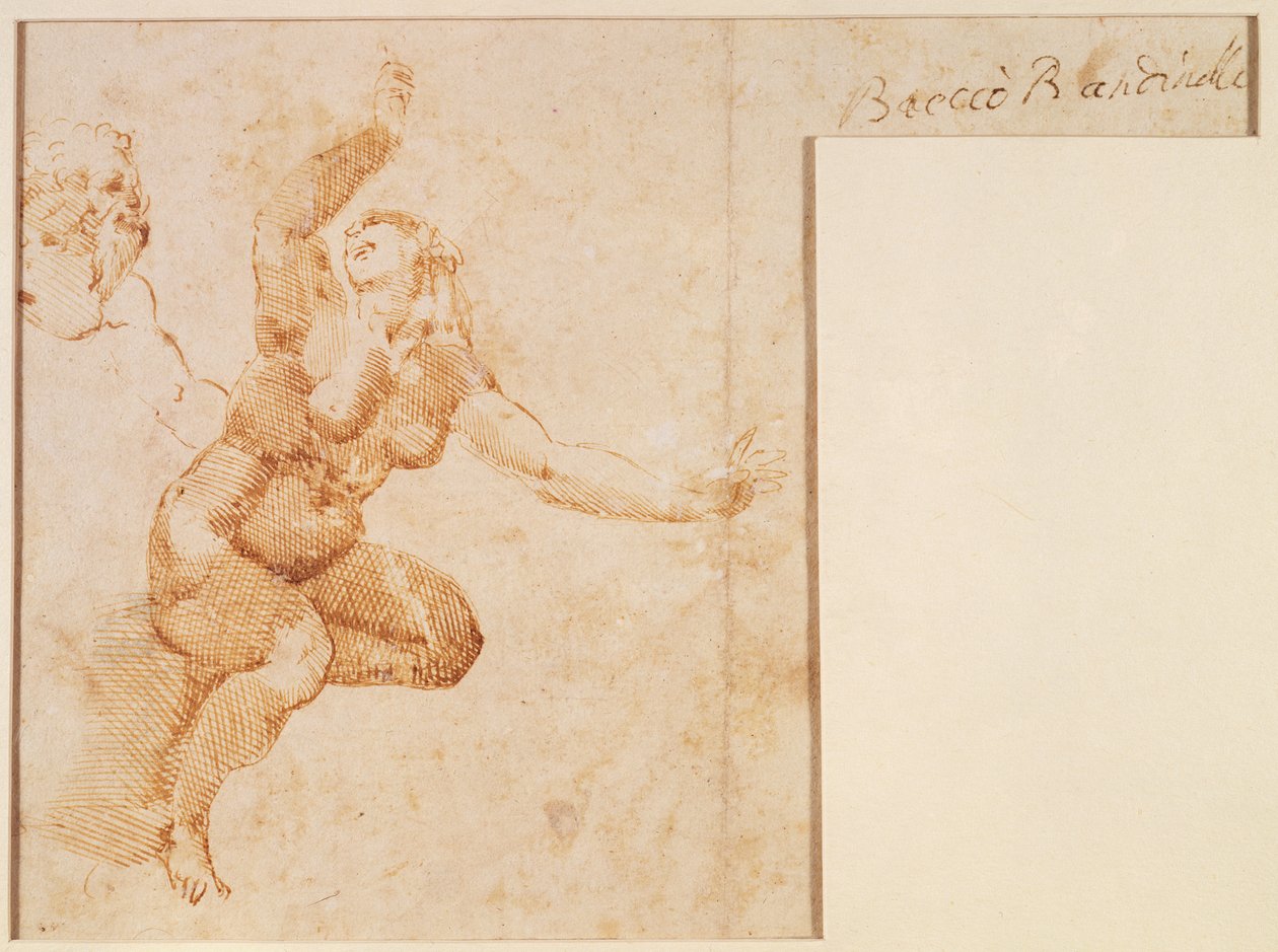 Undersøgelse af en nøgen kvinde af Michelangelo Buonarroti