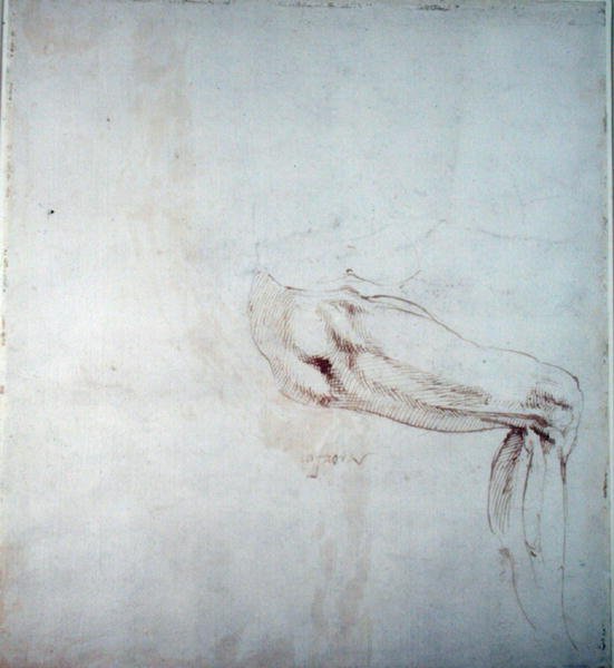 Studie af et ben med noter (brun blæk på papir) (recto) af Michelangelo Buonarroti