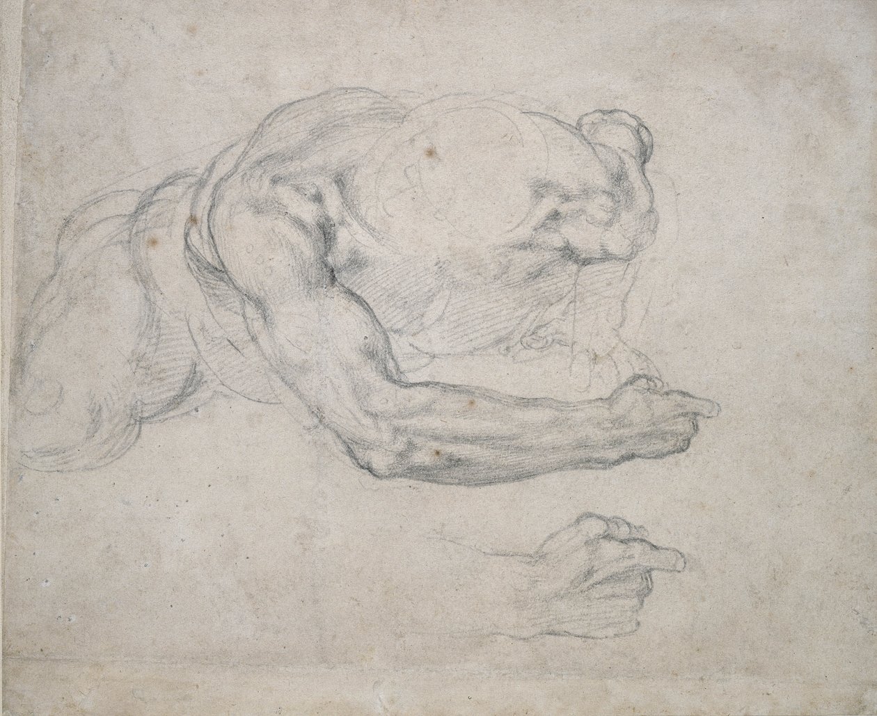 Studie af en mand, der rejser sig fra jorden (sort kridt på råhvidt papir) af Michelangelo Buonarroti