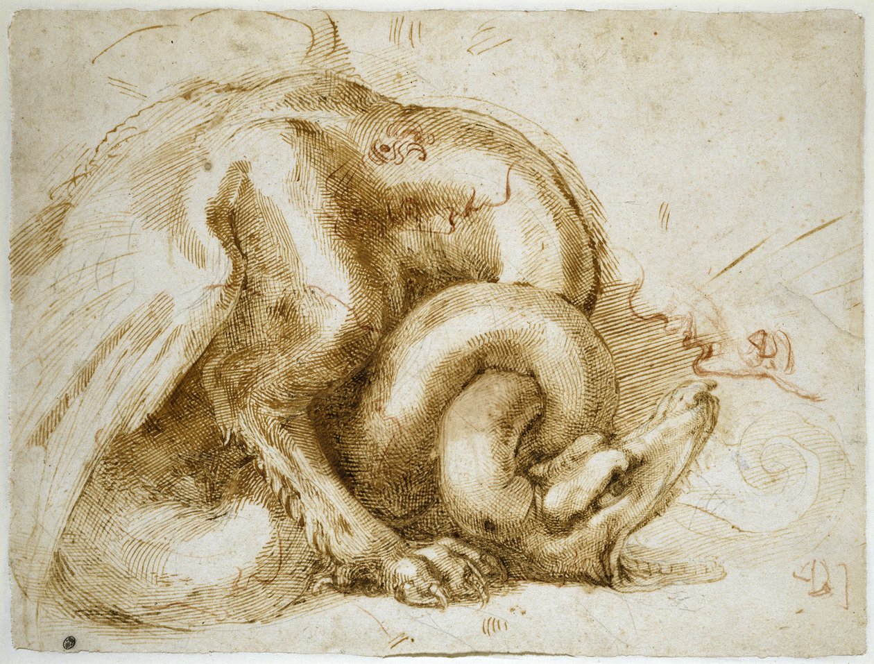 Studie af et bevinget monster, ca. 1525 (rødt og sort kridt på papir) af Michelangelo Buonarroti