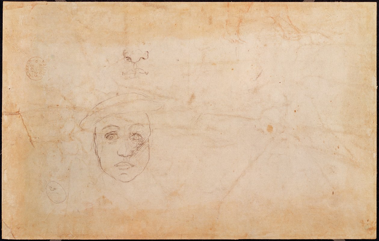 Studie af et mandligt hoved (verso) af Michelangelo Buonarroti
