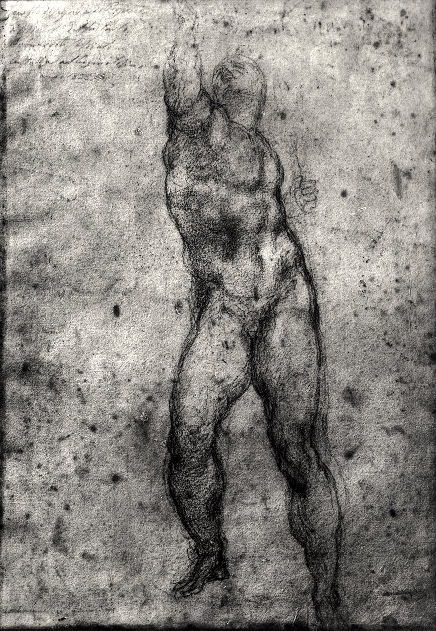 Undersøgelse af en mandlig nøgen af Michelangelo Buonarroti