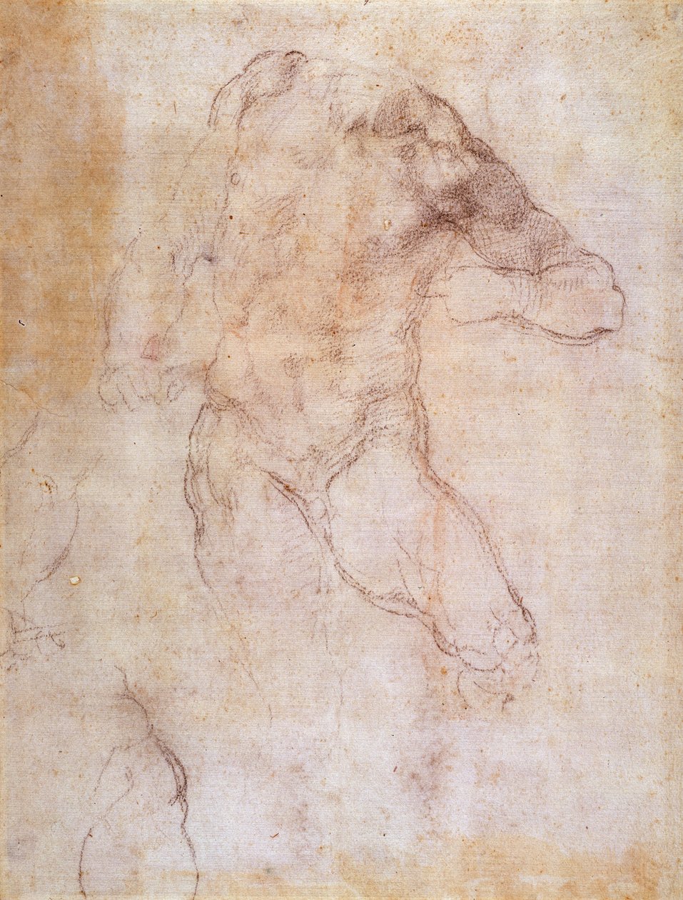 Undersøgelse af en nøgen mand af Michelangelo Buonarroti