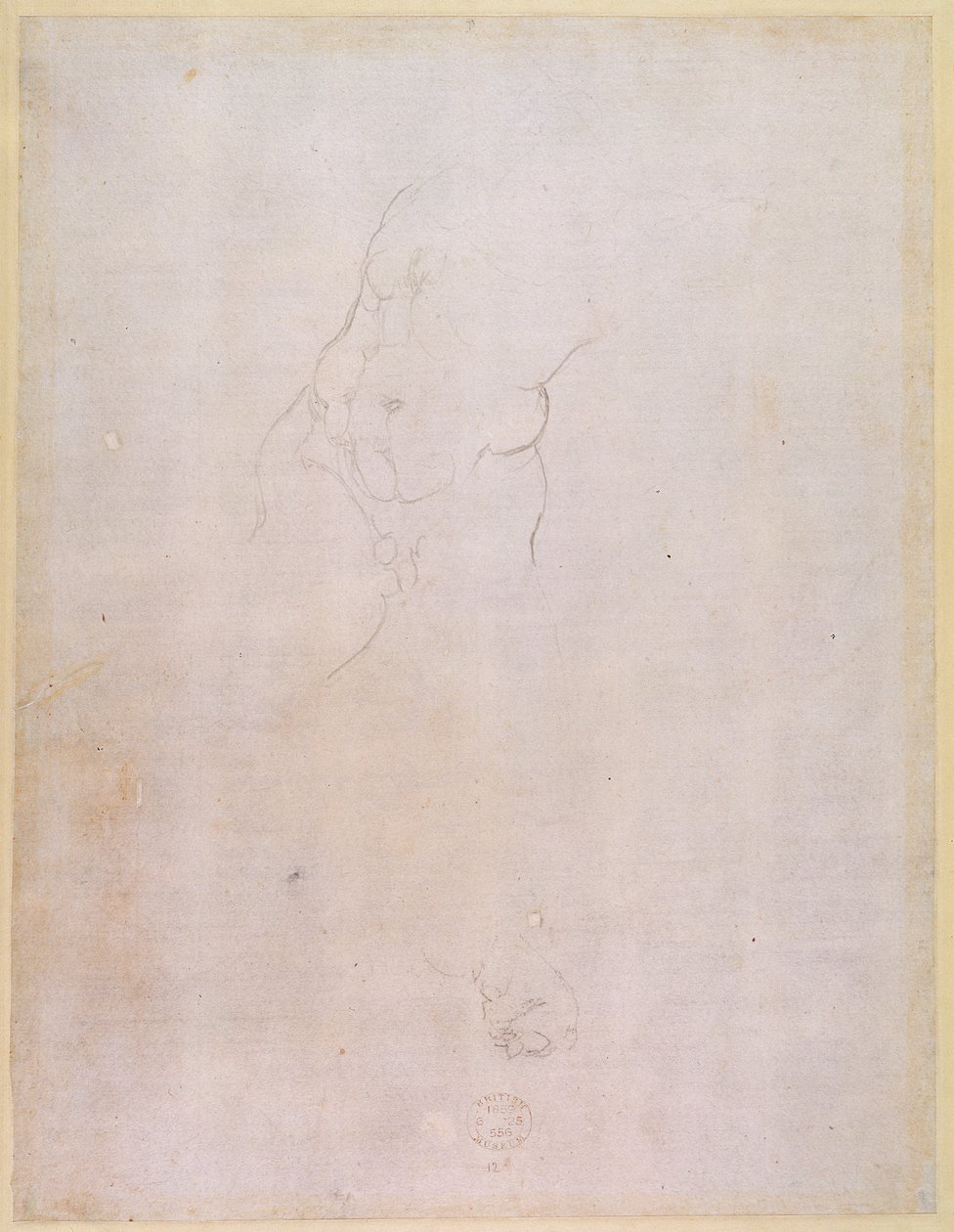 Studie af en mandlig torso (verso) (for recto se 192512) af Michelangelo Buonarroti