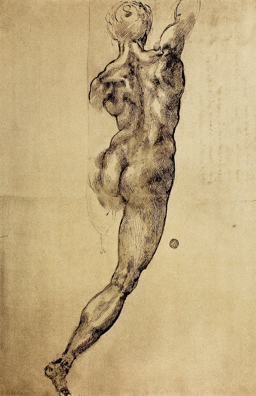 Studie af en viril figur set bagfra, tegning af Michelangelo. Casa Buonarroti, Firenze af Michelangelo Buonarroti