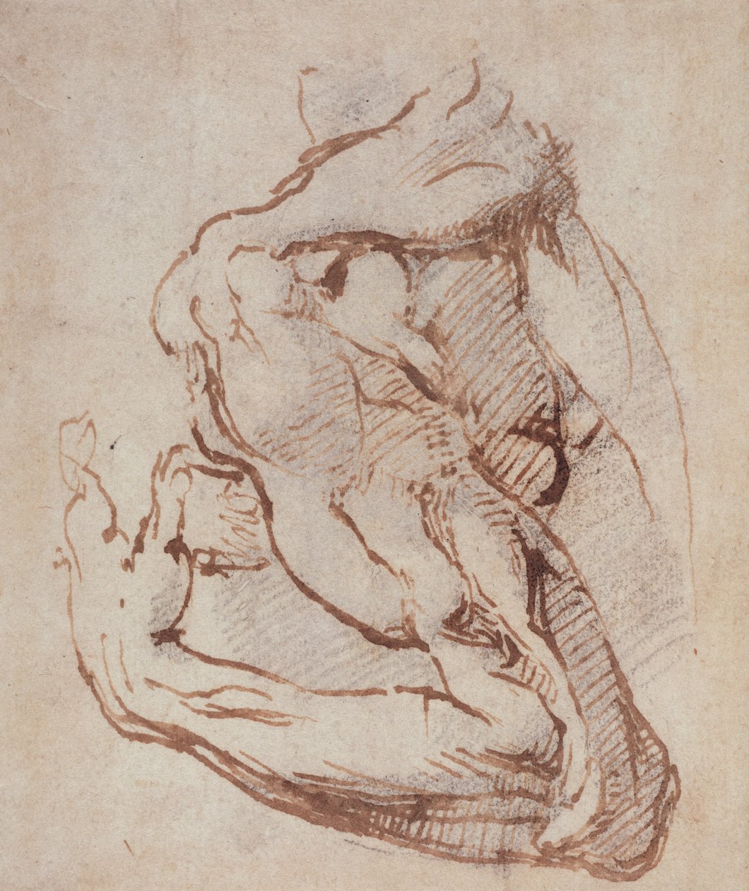 Studie af en arm (blæk) Inv.1859514819 (W.49) af Michelangelo Buonarroti