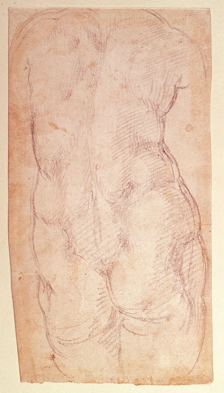 Studie af bagsiden af en nøgen figur af Michelangelo Buonarroti