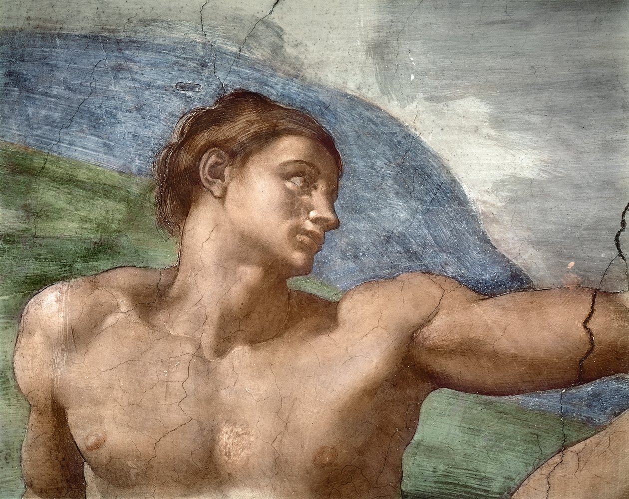 Skabelsen af Adam, detalje af Adams hoved, 1508-12 af Michelangelo Buonarroti