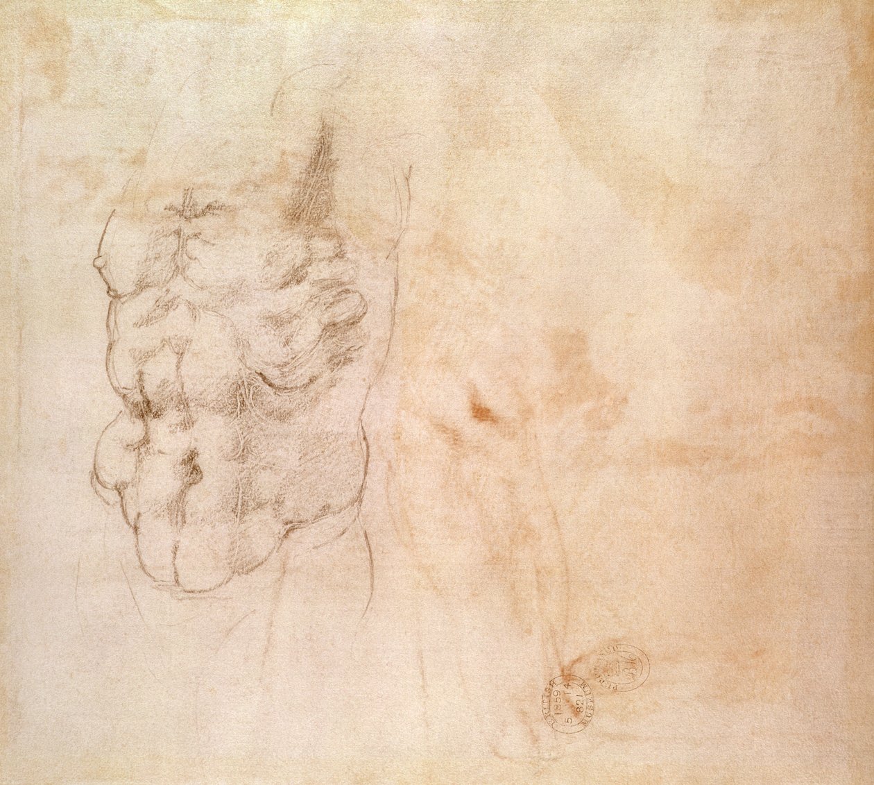 Torso Study (rød og sort kridt på papir) af Michelangelo Buonarroti