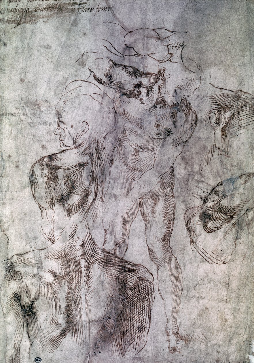 Forskellige undersøgelser, verso af Study for David af Michelangelo Buonarroti